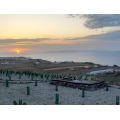 Private Liqueur experience & organic vineyard  visit 